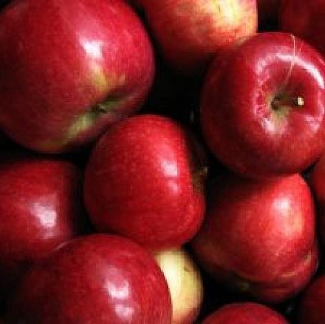 Support the Kids! Support the Wye Marsh! Active Essentials Apple Fest and Run Oct. 4th 2014. Register online http://t.co/PCxvOQQJDE