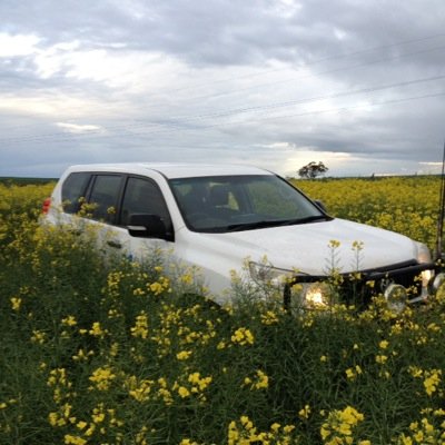 Passionate about Western Australian agriculture. Customer Relations Manager with GRDC West. Eastern Wheatbelt born and bred. Views are my own.