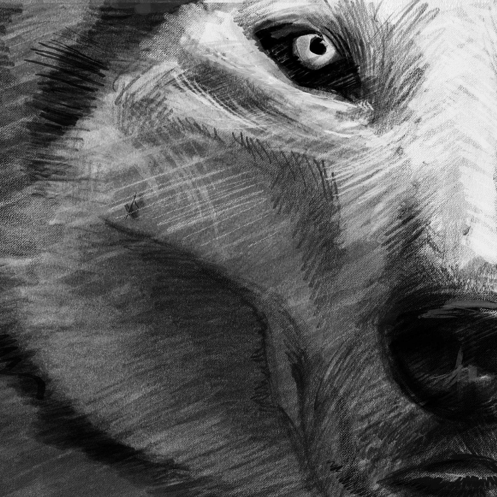 Short horror film about a young woman who tries to find an escape from a traumatic situation in an isolated cabin in the woods. Filming in Camden, ME.