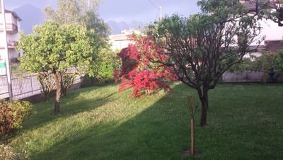 g_vardanega's profile picture. 