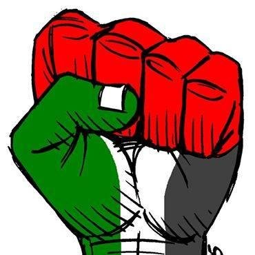 YassinAmenzou's profile picture. 