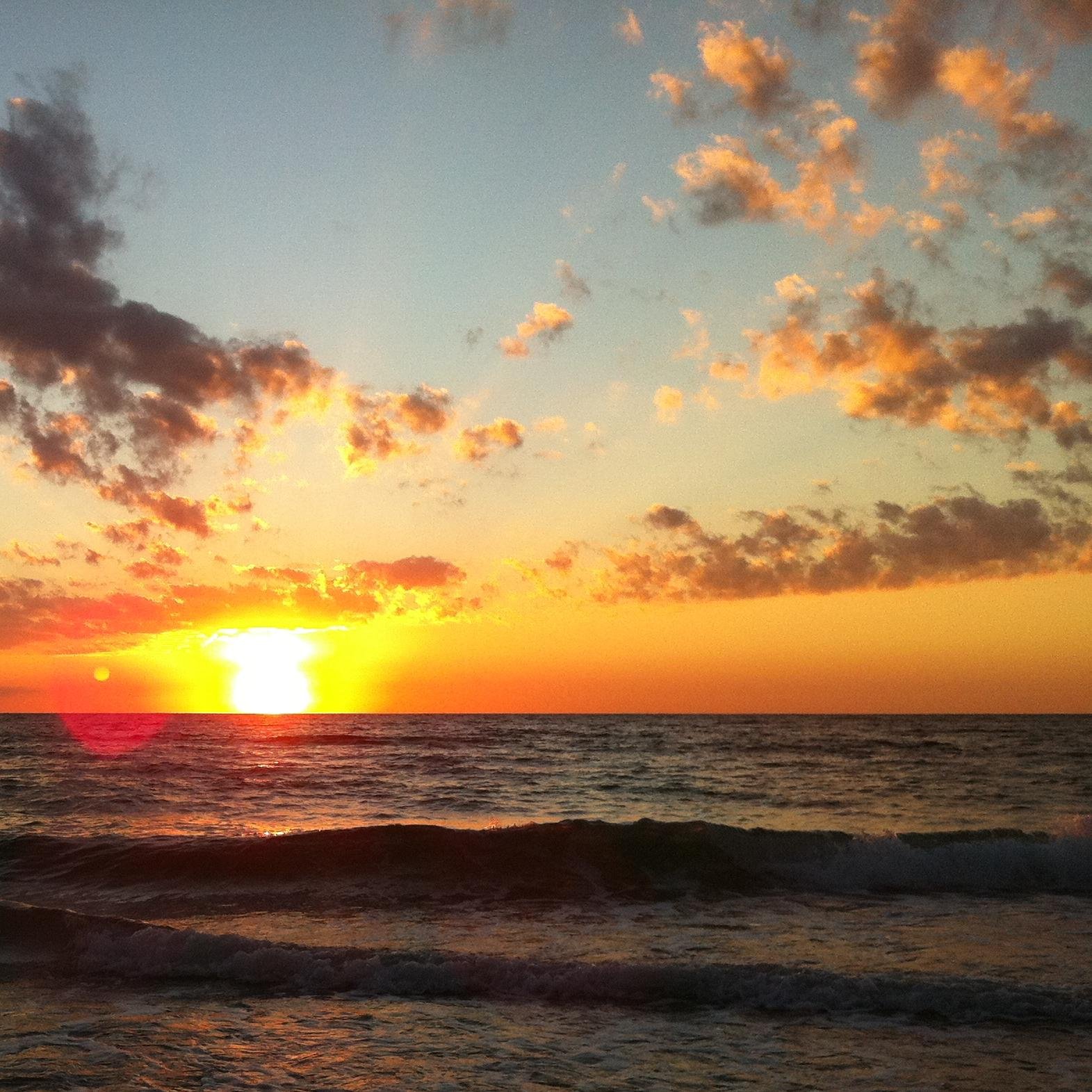 anon_femme's profile picture. 