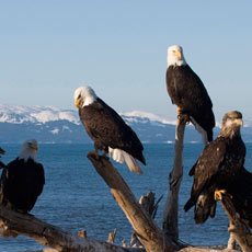 SethHerdoiza's profile picture. 