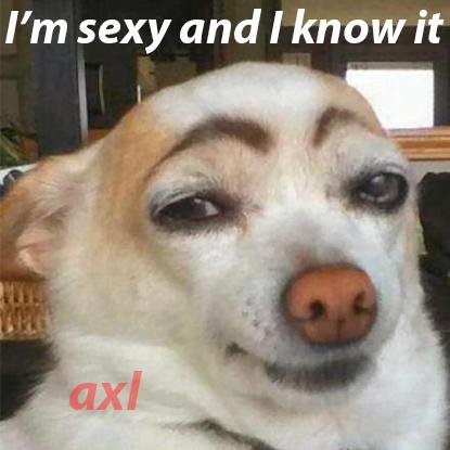 Axl1711's profile picture. Vivo la mia vita uno scatto alla volta! https://t.co/plAxHdR86l https://t.co/7eMOnGYJvs