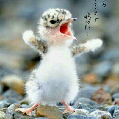 ピー