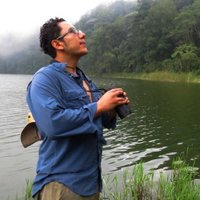 OSWALDO CORTES (@oswaldoaves) 's Twitter Profile Photo OSWALDO CORTES (@oswaldoaves) 's Twitter Profile Photo