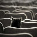 barbara zanoni - @babizanoni38 - Twitter