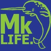 MASSkiting's profile picture. 