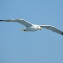 Jonathan Stone - @vigioffre - Twitter