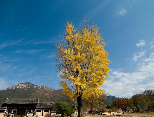 sophia00kim's profile picture. 