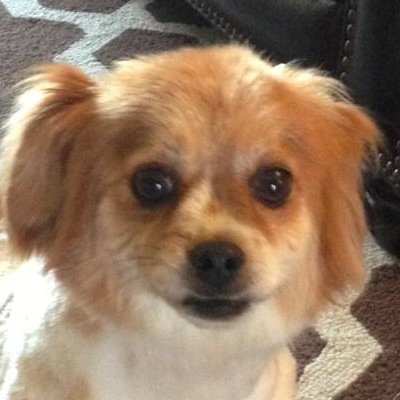 HKorando's profile picture. 