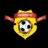 llwyncelynfc's profile image