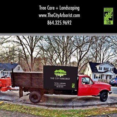 The City Arborist, LLC
Based out of Greenville SC. 
Certified Arborist/Utility Specialist