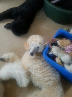 tinawoodward21's profile picture. 