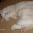 Michelle Harder - @captainharder - Twitter