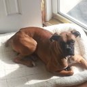 Chris Kohn - @ckohn79 - Twitter