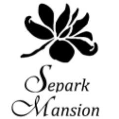 Have your wedding in one of the most romantic settings in Charlotte North Carolina.  Separk Mansion a romantic Italian renascence style mansion built in 1920.