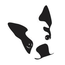 Please follow us at: https://t.co/f6NdwIrVKw [@DADOlabs]