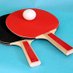 PingPongRuler (@pingpongruler) Twitter profile photo