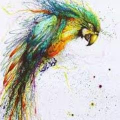 FxL_Parrot's profile picture. 