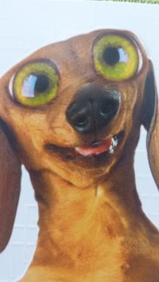 troyd108's profile picture. 