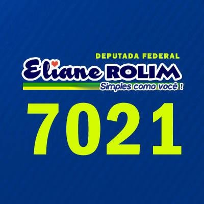 Eliane Rolim, ex Deputada Federal do PT/RJ, suplente da Comissao Parlamentar de Educação e efetivo da Comissão Parlamentar de Des. Urbano.
