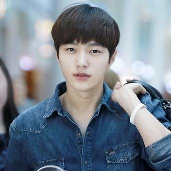 Parody of KIM MYUNGSOO or L INFINITE ©1992