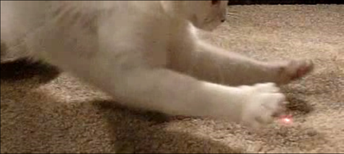 SpecImpulse's profile picture. 