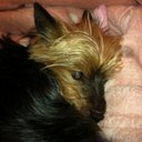 georgia annie bishop - @georgiabishop89 - Twitter