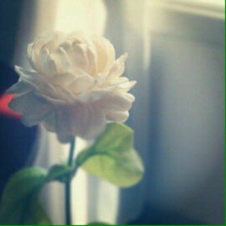 hadeelAbdulazi9's profile picture. instagram:hadeelabdulaziz9