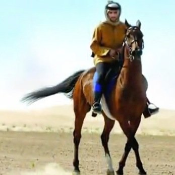 q8_am's profile picture. q8_am