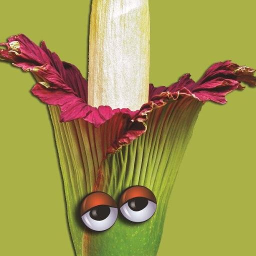 Mortystinks's profile picture. 