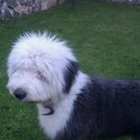 nicolás corona glez - @GlezNicolas - Twitter