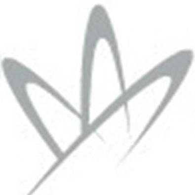 IP Firm covering Chile and Latin America