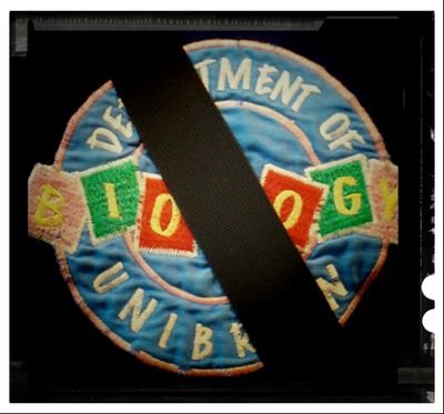 3Dota's profile picture. 