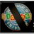 3Dota's profile image