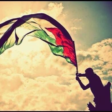 rbayrdakul98's profile picture. 