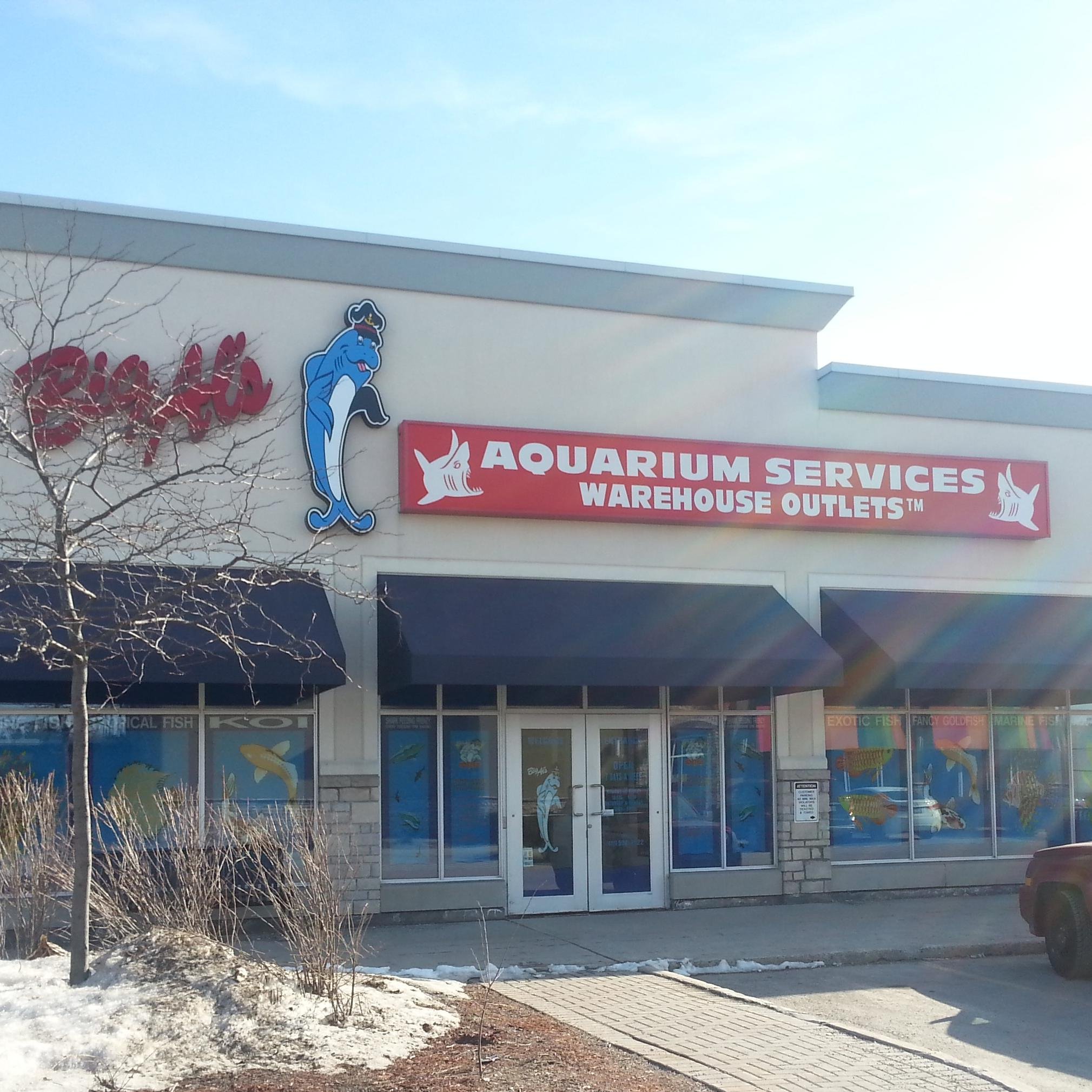 BigalsKanata's profile picture. Your reptile, pond, fresh water and salt water marine Hobby Specialists ! Follow us for the inside scoop on specials & exciting news!!