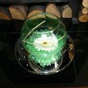 Olive Gold Events  - @olivegold_event - Twitter