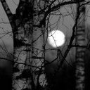 Taylor Spaulding - @SpauldingTaylor - Twitter