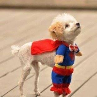 PYBP's profile picture. 