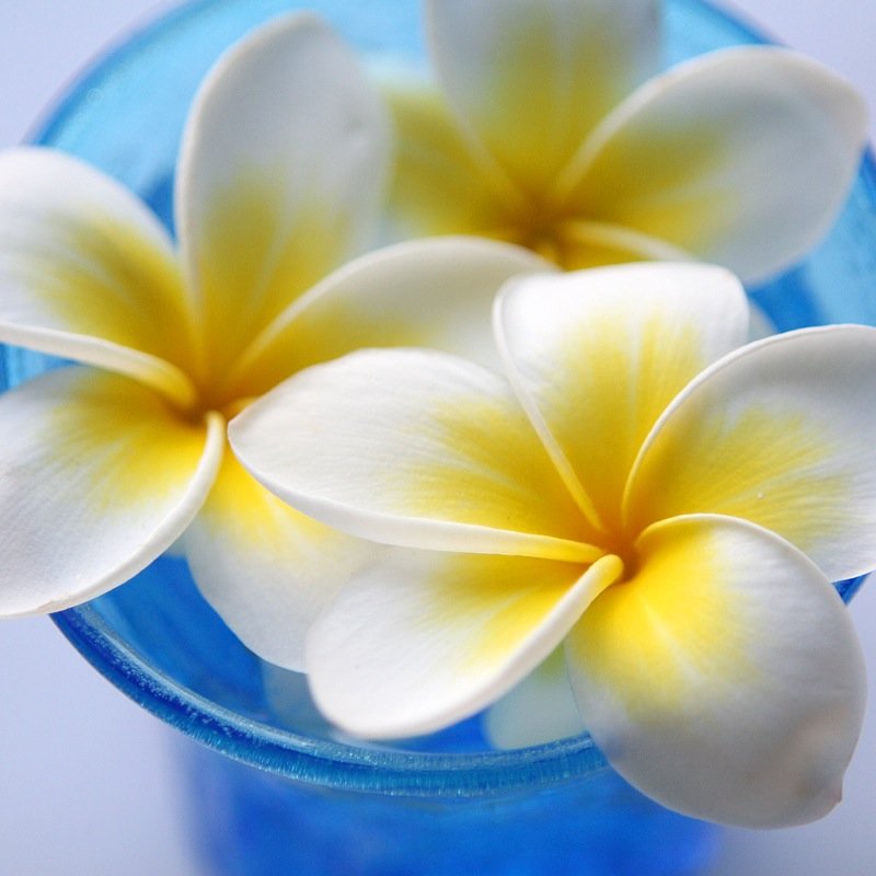 massagekensaku's profile picture. メンズエステ/出張マッサージ/情報/検索サイト【プロエステ】東京、都内、23区、埼玉地域、神奈川地域、千葉市地域のアロマ、リンパ、ボディケア、タイ古式、洗体、リフレ、ハンド、ヘッド、フェイシャル、チャイニーズエステなど様々なお店が満載！！ご希望お気に入りのお店がすぐに見つかります。