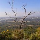 Shekar Babu - @skbabu1975 - Twitter