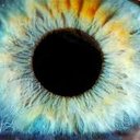 Joshua Sheets - @advo4life - Twitter