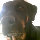 Ulla Hansen - @me_crazydane - Twitter