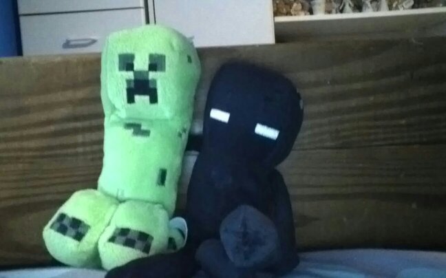 hi I am cutekitty199's sister and I am really happy I am working with her and you might see me on minecraft pocket edition
