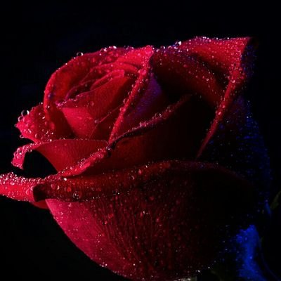 7aff2b6b49aa4e8's profile picture. 