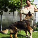 Munteanu Dan - @dan_munteanu1 - Twitter