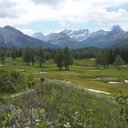 Bonnie Wan - @bjwauld - Twitter