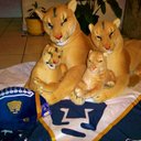 Larry Paz Morelos - @31Morelos - Twitter